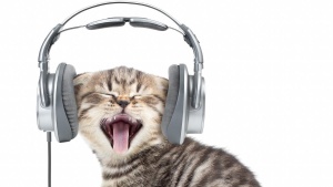 23 бесплатных аудио настроя на все случаи жизни, cкачайте бесплатно