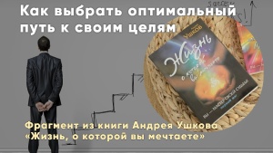 Фрагмент из книги Андрея Ушкова  «Жизнь, о которой вы мечтаете»