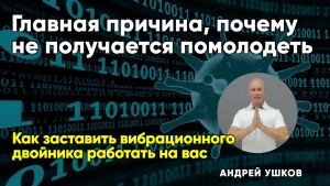 Как заставить вибрационного двойника работать на вас.