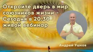 Сегодня стартует программа «Семь союзников жизни» всем участникам живого эфира подарок