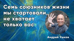 Откройте в себе силу семи союзников