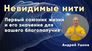 Что вас ждёт, когда первый союзник жизни обретет силу