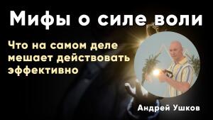 Второй союзник жизни: ключ к личной эффективности