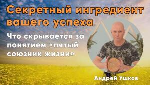 Обуздайте энергию пятого союзника жизни, живите легко, ярко, на своей волне успеха