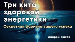 Конкретный план восстановления энергетического здоровья