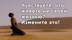 Судьба, яркий и творческий процесс, которым вы можете управлять