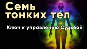 Каждое тонкое тело отвечает за свой аспект жизни.