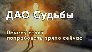 Поучительные истории участников программы