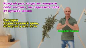 Каждый раз, когда вы говорите себе «потом», вы отдаляете себя от своей лучшей жизни.