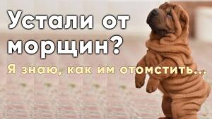 Молодость без жертв и хирургии в открытом доступе