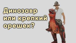 Выбирайте стратегию, отстаивать свои интересы или плыть по течению жизни