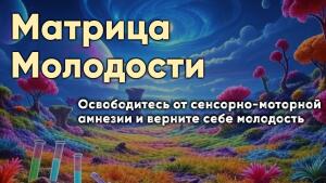Матрица Молодости - старт через неделю матрица