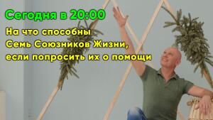 Тайная сила внутри нас 