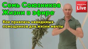 Скорее на вебинар «Семь союзников жизни» стартовал. Подключите союзников тонкого мира для мощного рывка