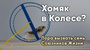 Раскройте силу семи Союзников 22 Сентября