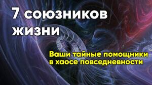 Ваши тайные помощники в хаосе повседневности