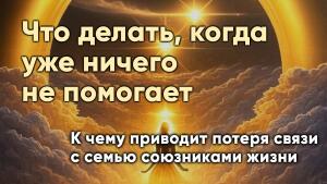 К чему приводит потеря связи с семью союзниками жизни.