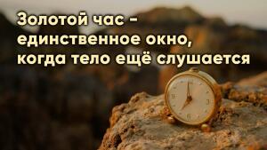 Золотой час - единственное окно, когда тело ещё слушается
