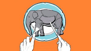 Слона съедают по кусочку