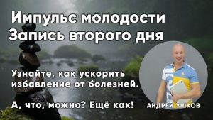 Запись второго дня программы «Импульс молодости»