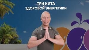 Три Кита Здоровой Энергетики — комплексный курс восстановления энергетики