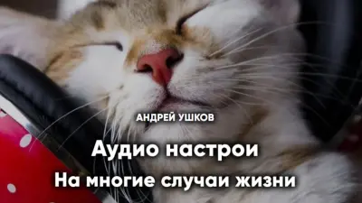 Аудио настрои