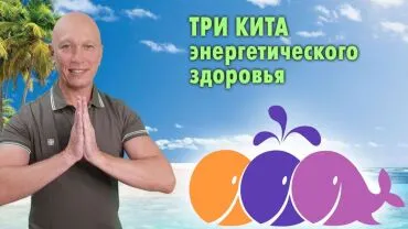 Три кита