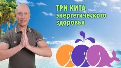 Три кита