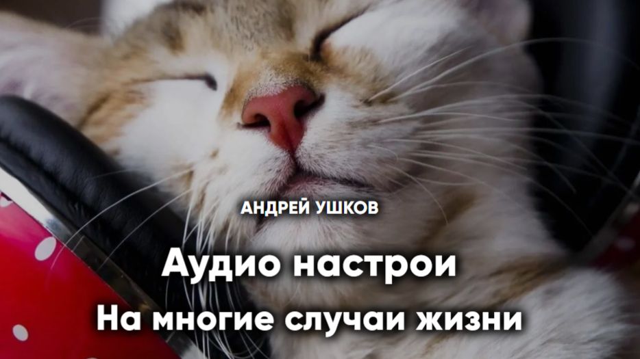 Аудио настрои