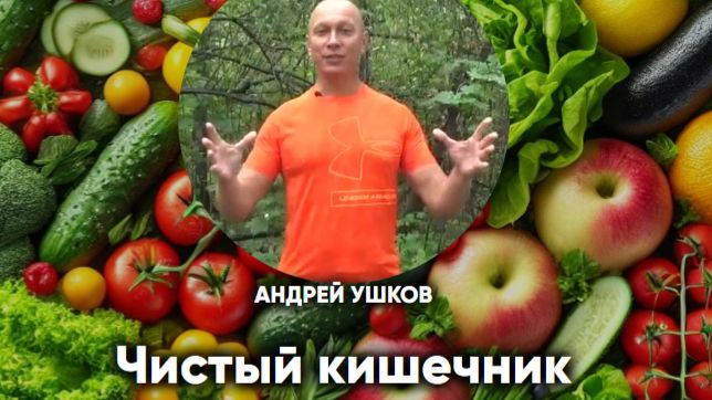 чистый кишечник