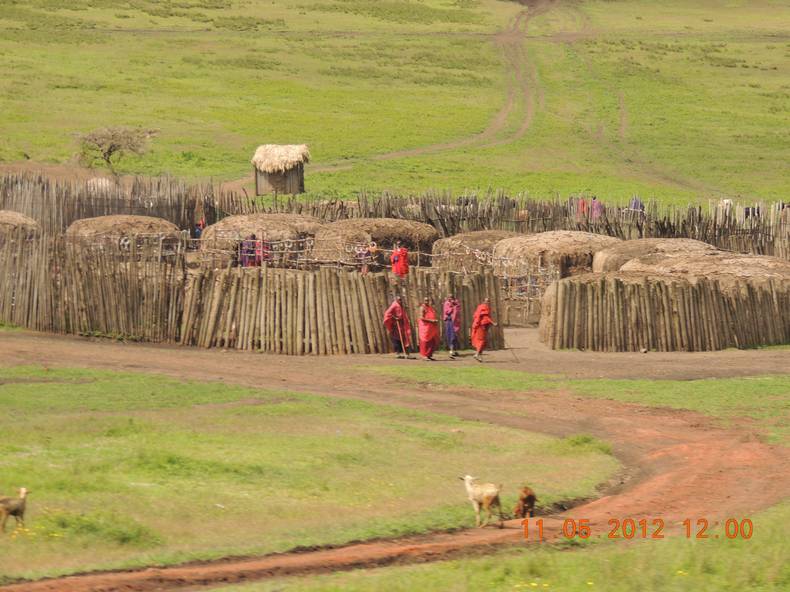Массайская деревня. Сегодня так же как и тысячу лет назад.